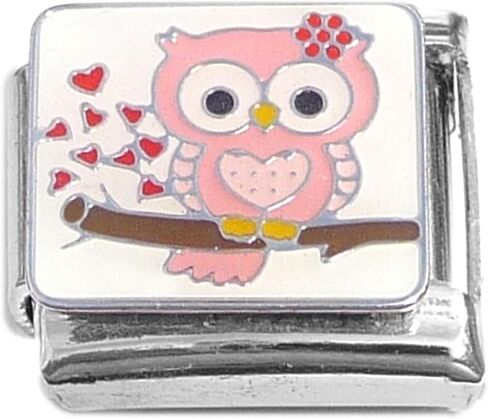 NewCharms Owl Hearts Flowers Italian Charm in Kuwait
