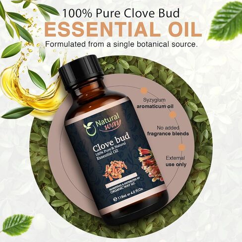 Clove Bud Essential Oil for Diffusers | Natural Aroma Oil for Home Fragrance, Humidifier & DIY Candle Making, Long Lasting Scent for Office, Bedroom & Soothing Scent 4 Fl Oz (120 mL) in Saudi Arabia