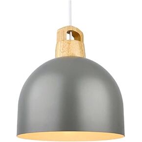 Modern Black Nordic Metal Pendant Lamp Chandelier Hanging Lighting Ceiling Fixture Rainfall Shower Head Hose Industrial for Creative Home Decor(A Gray) in Kuwait