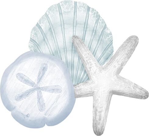 Novabright Coastal Sea Shell Wall Art Wooden Beach Starfish Sand Dollar Decor for Rustic Beachy Theme Bathroom Bedroom Living Room Nautical Wood Sign for Lake House Summer Home Decoration(Brown) in Saudi Arabia