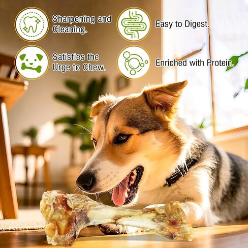 Giant Dog Bone Stick，Dental Health Dog Treat - Natural, Bite-Resistant & Teeth-Cleaning, Chew Toy for Medium and Large Dogs, 100% Grass-Fed Beef Bone for Canines (1 Count) in Saudi Arabia