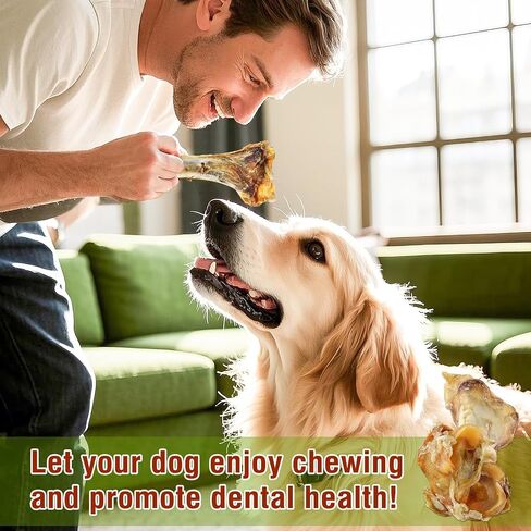 Giant Dog Bone Stick，Dental Health Dog Treat - Natural, Bite-Resistant & Teeth-Cleaning, Chew Toy for Medium and Large Dogs, 100% Grass-Fed Beef Bone for Canines (1 Count) in Saudi Arabia