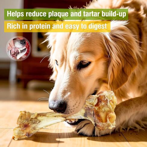 Giant Dog Bone Stick，Dental Health Dog Treat - Natural, Bite-Resistant & Teeth-Cleaning, Chew Toy for Medium and Large Dogs, 100% Grass-Fed Beef Bone for Canines (1 Count) in Saudi Arabia