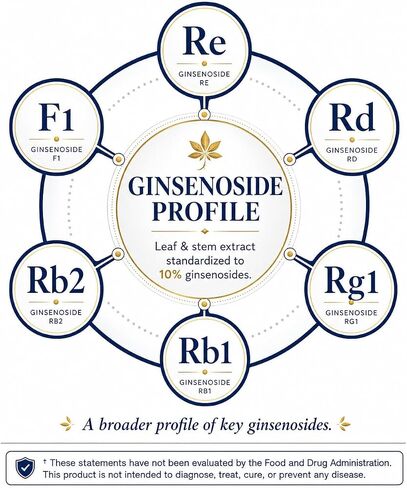 Korean Red Ginseng Capsules 1000mg - 10% Ginsenosides - 120 Vegetarian Capsules, 60 Servings - Premium Panax Ginseng Extract for Energy, Focus & Immune Support - Vegan, Non-GMO in Saudi Arabia