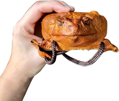 Cane Toad Full Body Wallet, Latex Purse with Lanyard for Credit Cards and Cash, Stylish Retro Design Friends, 24x13.5cm (Pink money bag) in Saudi Arabia