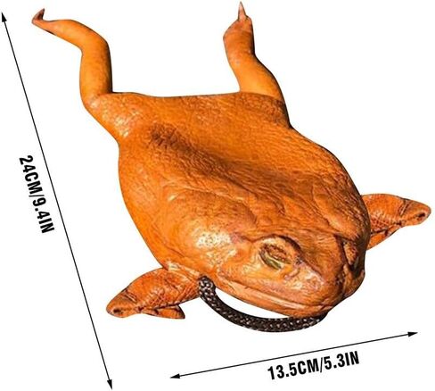 Cane Toad Full Body Wallet, Latex Purse with Lanyard for Credit Cards and Cash, Stylish Retro Design Friends, 24x13.5cm (Pink money bag) in Saudi Arabia