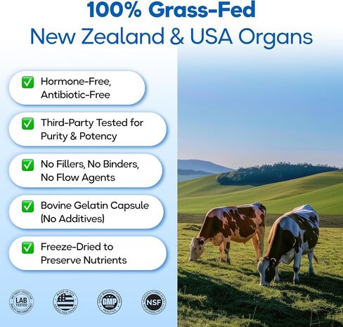Grass Fed Beef Organ Supplement 3000mg (8 Organs) - Bone Marrow, Thymus, Liver, Heart, Kidney, Trachea, Spleen, Lung - Freeze-Dried - 120 Capsules (30 Servings) in Saudi Arabia