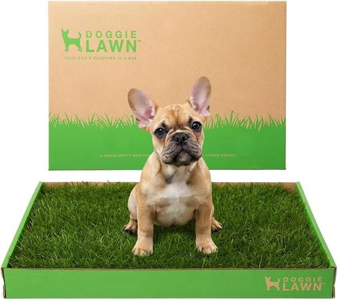 DoggieLawn Real Grass Puppy Pee Pads - Potty Training Pads for Dogs & Puppies - Indoor Grass Dog Potty for Apartments & Bad Weather - Natural Living Grass - Large 24 x 24 Inches - Made in USA in Kuwait