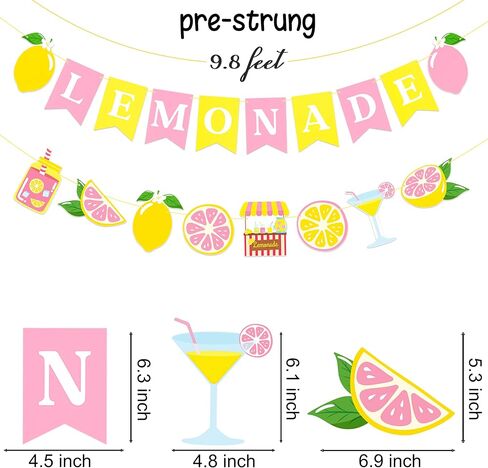 Pink Lemonade Banner Garland, 2pcs Lemon Themed Bunting Hanging Decor for Summer Lemonade Stand Birthday Baby Shower Bridal Shower Pool Luau Tropical Party Supplies in Saudi Arabia