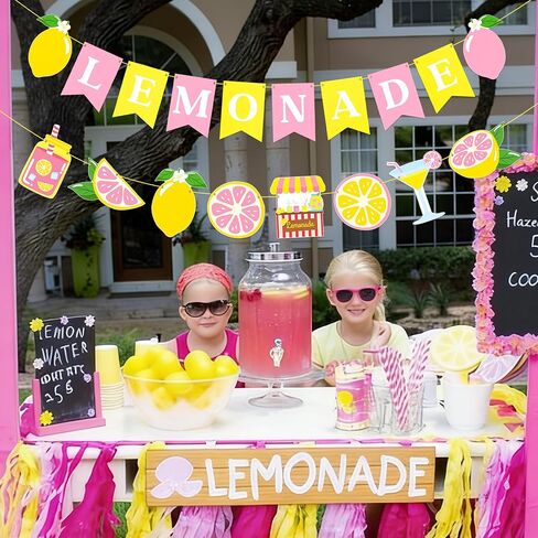 Pink Lemonade Banner Garland, 2pcs Lemon Themed Bunting Hanging Decor for Summer Lemonade Stand Birthday Baby Shower Bridal Shower Pool Luau Tropical Party Supplies in Saudi Arabia