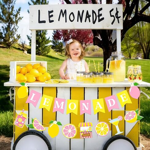 Pink Lemonade Banner Garland, 2pcs Lemon Themed Bunting Hanging Decor for Summer Lemonade Stand Birthday Baby Shower Bridal Shower Pool Luau Tropical Party Supplies in Saudi Arabia