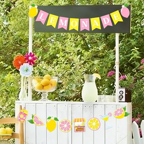 Pink Lemonade Banner Garland, 2pcs Lemon Themed Bunting Hanging Decor for Summer Lemonade Stand Birthday Baby Shower Bridal Shower Pool Luau Tropical Party Supplies in Saudi Arabia