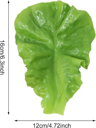 4PCS Artificial Lettuce Leaves Realistic Faux Lettuces Simulation Vegetable Model Props for Home Decoration Display Cabinet Party Pub Photography Festival Decoration in Kuwait