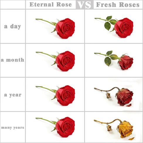 Preserved Flowers Bouquet-Pink Forever Flowers For Delivery Prime, Ideal Anniversary Valentine Gifts for Women Mother Wife Grandma in Saudi Arabia