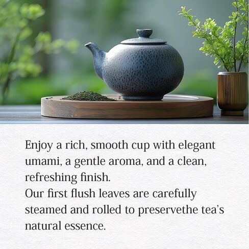 Premium Uji Sencha Green Tea – Authentic Japanese Loose Leaf Tea from Kyoto, 1.41 oz (40g) Tin – Freshly Harvested, Aromatic & Smooth Japanese food in Saudi Arabia