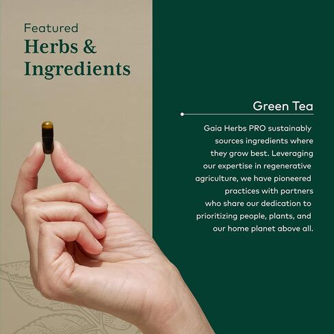 GAIA HERBS PRO Green Tea - Heart Health & Antioxidant Support Supplement* - Health Supplement with Green Tea Leaf Extract - Vegan, Gluten-Free, Soy-Free - 60 Liquid Phyto-Caps (30 Servings) in Saudi Arabia