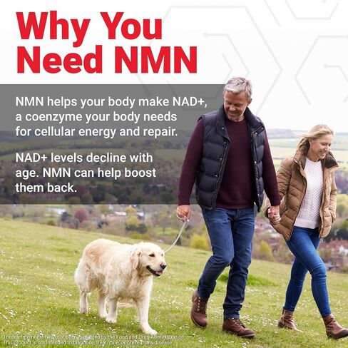 كبسولات طول العمر NMN من فورس فاكتور، 500 مجم NMN قوة إضافية، 60 كبسولة | مقدمة لتعزيز مستويات NAD+، ودعم الطاقة الخلوية، ودعم التمثيل الغذائي، ودعم الشيخوخة الصحية in Kuwait