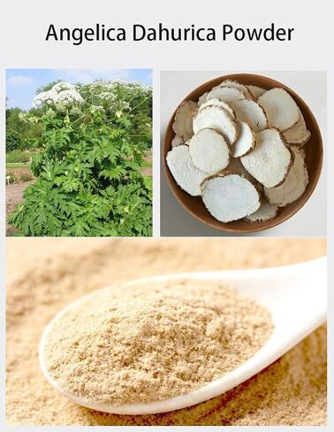 Dahurian Angelica Powder BaiZhi Fen, 8.81oz/250g-白芷粉,for Making Soup,Seasoning Meat fillings. in Saudi Arabia