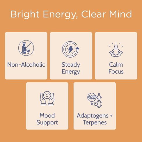 Soul Hum Non-Alcholoic Elixirs - Uplift - Plant-Based Functional Beverage with Adaptogens, Terpenes, Guarana & L-Theanine - Sparkling Botanical Drink for Focused Energy & Refreshment - 25.4 Fl Oz in Kuwait