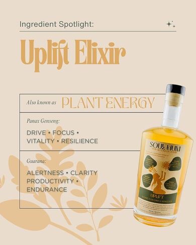 Soul Hum Non-Alcholoic Elixirs - Uplift - Plant-Based Functional Beverage with Adaptogens, Terpenes, Guarana & L-Theanine - Sparkling Botanical Drink for Focused Energy & Refreshment - 25.4 Fl Oz in Kuwait