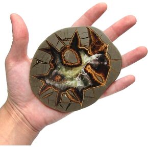 BicBugs Septarian agatized dragonstone geode slice Utah USA in Kuwait