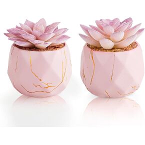 ZENIDA Artificial Succulent Plants in 2 Pink Ceramic Pots, Cute Fake Plants for Vanity Decor,Office, Desk, Bathroom, Kitchen,Bedroom, Shelves Decor for Women,Girls Gift in Saudi Arabia