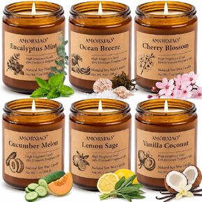6 Pack Scented Candles for Home Scented: Soy Candles for Women Men, 42oz 300H Burning Aromatherapy Candle Set, Jar Candle Gift Set for Birthday, Scents of Eucalyptus/Sage/Cherry/Ocean/Melon/Vanilla in Saudi Arabia