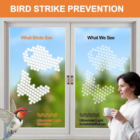 210 PCS Window Clings for Bird Strikes, Glass Door Clear Stickers Window Clings Prevent Birds from Hitting Glass Windows, Anti-Collision Decals (210 Pack Round) in Kuwait