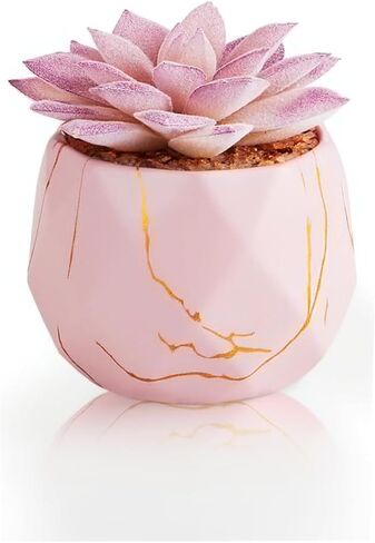 ZENIDA Artificial Succulent Plants in 2 Pink Ceramic Pots, Cute Fake Plants for Vanity Decor,Office, Desk, Bathroom, Kitchen,Bedroom, Shelves Decor for Women,Girls Gift in Saudi Arabia