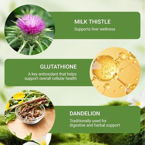 Purelia Liver Restore Drops, with Milk Thistle - 2 Fl Oz (60ml) in Saudi Arabia