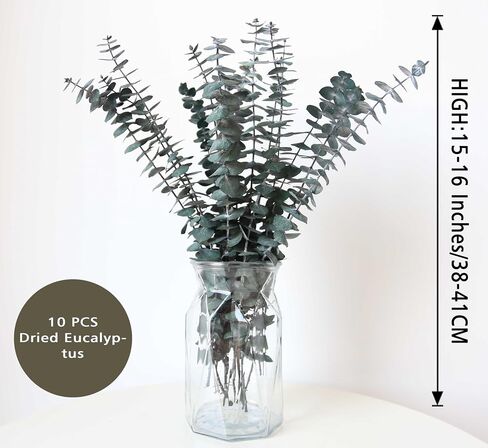 10 PCS Dried Eucalyptus Stems for Shower 15-16" Real Leaves Branches for Vase Filler, Home Bathroom Wedding Arrangement Decor, 100% Natural Fresh Greenery Hanging Preserved Eucalyptus Plant in Saudi Arabia