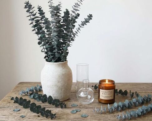 10 PCS Dried Eucalyptus Stems for Shower 15-16" Real Leaves Branches for Vase Filler, Home Bathroom Wedding Arrangement Decor, 100% Natural Fresh Greenery Hanging Preserved Eucalyptus Plant in Saudi Arabia