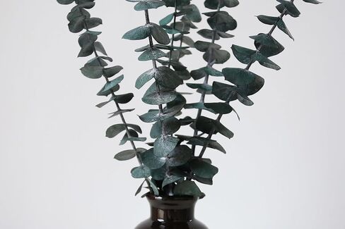10 PCS Dried Eucalyptus Stems for Shower 15-16" Real Leaves Branches for Vase Filler, Home Bathroom Wedding Arrangement Decor, 100% Natural Fresh Greenery Hanging Preserved Eucalyptus Plant in Saudi Arabia