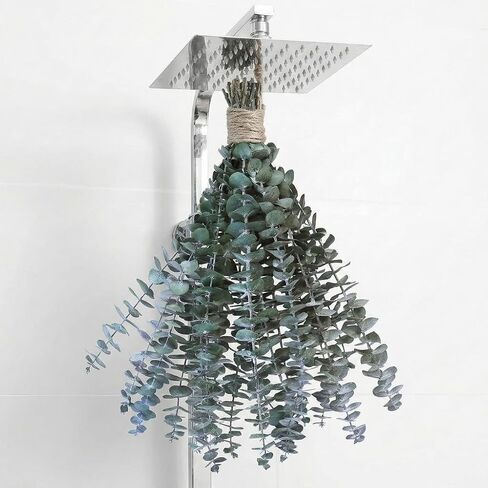 10 PCS Dried Eucalyptus Stems for Shower 15-16" Real Leaves Branches for Vase Filler, Home Bathroom Wedding Arrangement Decor, 100% Natural Fresh Greenery Hanging Preserved Eucalyptus Plant in Saudi Arabia