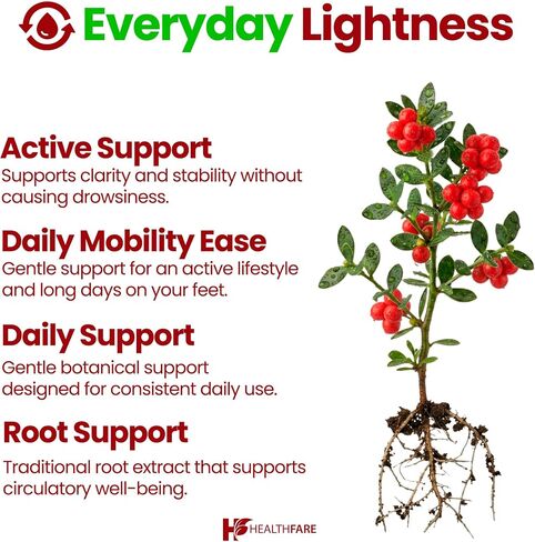 Butchers Broom Capsules | 2400mg | 120 Count | Supports Blood Circulation and Vein Support for Healthy Legs | Max Strength Formula | Non-GMO and Gluten-Free in Saudi Arabia