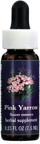 Flower Essence Services (FES) Pink Yarrow in Kuwait