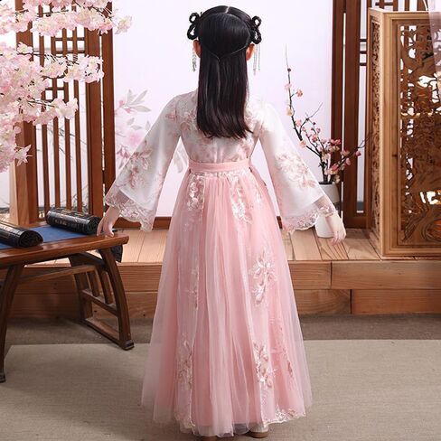 Girls Ancient Hanfu Dress Chinese Traditional Chiffon Long Sleeve Embroidered Stage Performance Outfit Pink in Saudi Arabia
