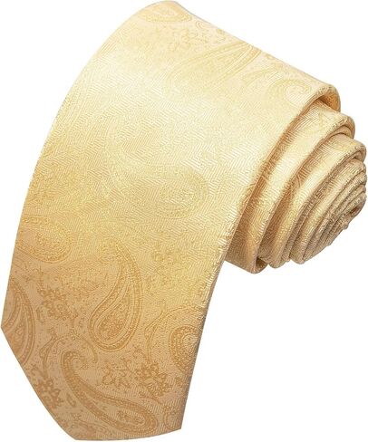 joy alice Paisley Ties for Men Formal Man's Tie Woven Neckties for Business Party Wedding in Kuwait
