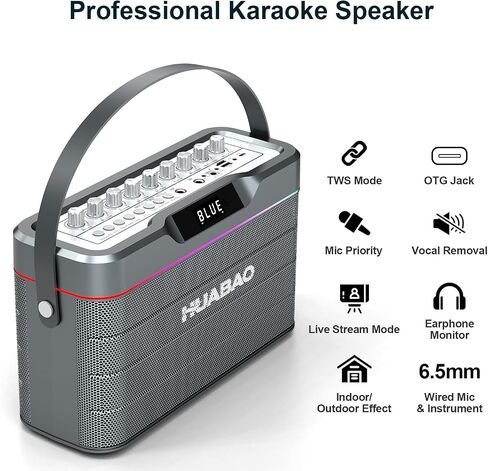 Karaoke Machine - 100W Super Bass Bluetooth Speaker with 2 Wireless Microphones, Portable PA System with LED Lights, Professional Loudspeaker, Supports TWS Pairing, and Bass/Treble/Echo Adjustment in Saudi Arabia