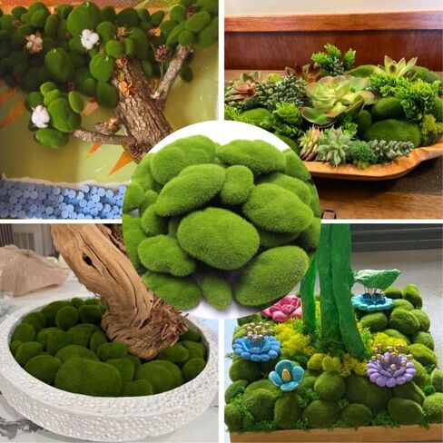 صخور الطحالب الاصطناعية من DoubleWood (4 أحجام)، 40 قطعة من كرات الطحالب المزخرفة، طحالب خضراء لحشو الأوعية، وديكورات الزفاف، والقطعة المركزية، وترتيبات الزهور، والحدائق الخيالية والحرفية (عبوة من 40 قطعة) in Kuwait