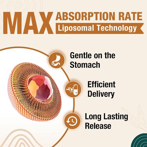 Liposomal Brain Supplements for Memory and Focus - Plasmalogen with Curcumin & Vitamin E for Better Absorption- Suitable for Seniors,Adult Men & Women Cognitive Health,High Potency 60 Servings in Kuwait