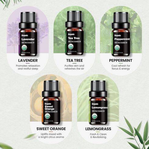 Organic Essential Oils Gift Set, Top 10x10ML-100% Pure Natural Aromatherapy for Diffusers, Humidifiers, Candle Making, Peppermint, Tea Tree, Lavender, Frankincense, Lemongrass, Eucalyptus & More in Saudi Arabia