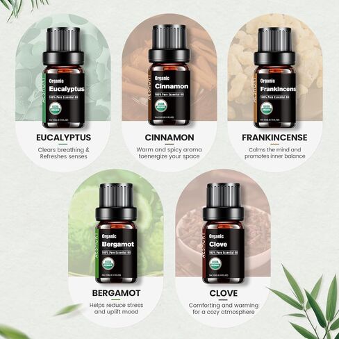 Organic Essential Oils Gift Set, Top 10x10ML-100% Pure Natural Aromatherapy for Diffusers, Humidifiers, Candle Making, Peppermint, Tea Tree, Lavender, Frankincense, Lemongrass, Eucalyptus & More in Saudi Arabia