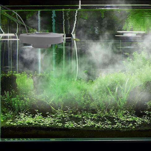 3-Head Mist Maker, Floating Fogger with Waterproof Power Supply & Buoy, US Standard 110V, for Pond, Fountain, Pool, Water Garden Decor, for Home & Garden in Saudi Arabia