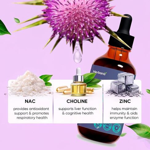 Liver Support Liquid with NAC and Zinc High Potency Herbal Blend Milk Thistle Dandelion Turmeric Daily Wellness Drops Alcohol Free Vegan 4 fl oz in Saudi Arabia