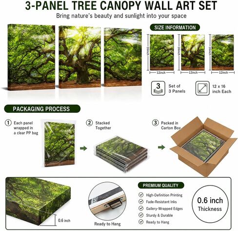 Conipit Angel Oak Tree Pictures Wall Art Sunshine Through Tree Canvas Green Oak Tree Painting South Carolina Tree Prints Framed and Stretched Natural Landscape Canvas 12''x16''x3 in Saudi Arabia