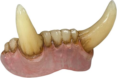 Monster Tusks by Designer Bite Co. – Realistic Orc & Goblin Teeth, Reusable Custom Fit Fake Teeth for Cosplay, Halloween, Horror FX Costume Kit in Saudi Arabia