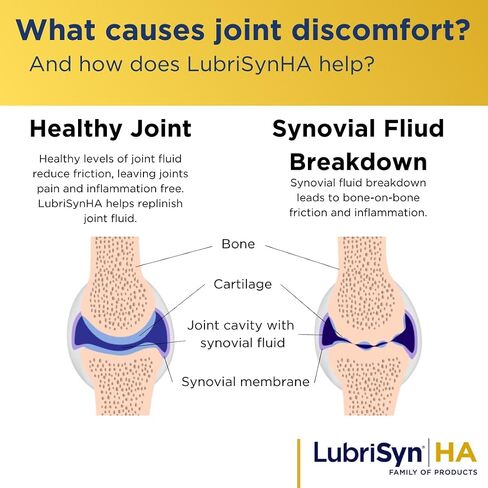 LubriSyn HA Human Liquid Hyaluronic Acid Joint Supplement, Oral HA for People, Supports Healthy Knees, Hips & Joint Function for Men & Women, Original Flavor, 30-Day Supply, 11.5 oz in Kuwait