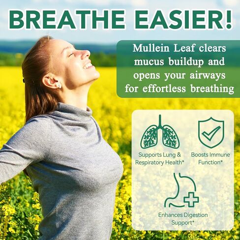 2 Pack Mullein Gummies for Lungs, 2000mg Mullein Leaf Extract for Respiratory & Digestive & Immune Support, Natural Herbal Supplement, Pear Flavor Gummies 60 Gummies in Saudi Arabia