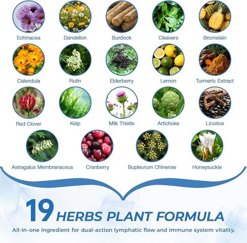 Lymphatic Drainage Supplement with Echinacea, Dandelion, Burdock, Bromelain, Cleavers & Milk Thistle | Liver Detox Cleanse, Immune System Support, 90 Capsules in Saudi Arabia